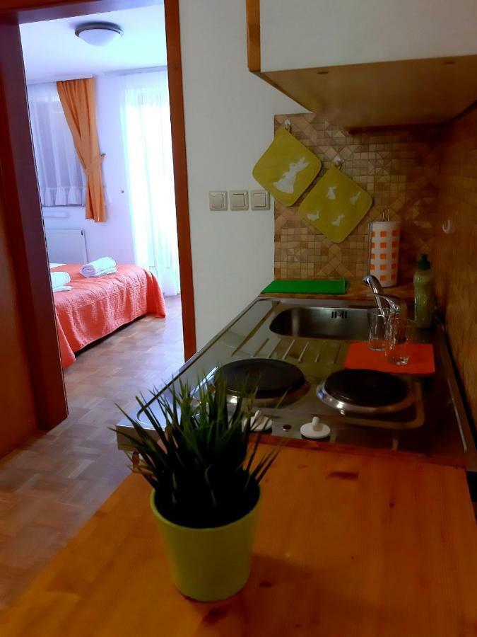 Guesthouse Pri Cebelici Lukovica pri Domžalah Zewnętrze zdjęcie